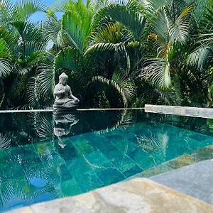O Palm : Dans Un Petit Ecrin De Verdure Hébergement de vacances Saint-Joseph
