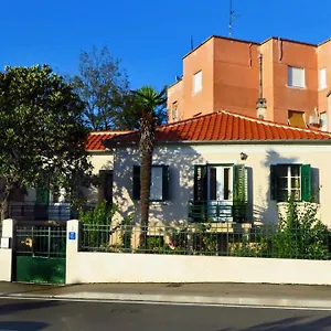 Nada Willa Zadar